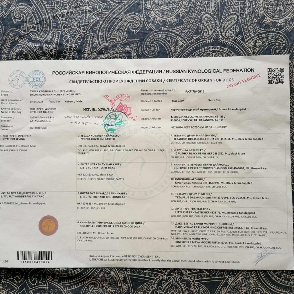 att.wNFI05yyW0cbZGetffSXa_hnAsSDuUv5xZk032s8Idg