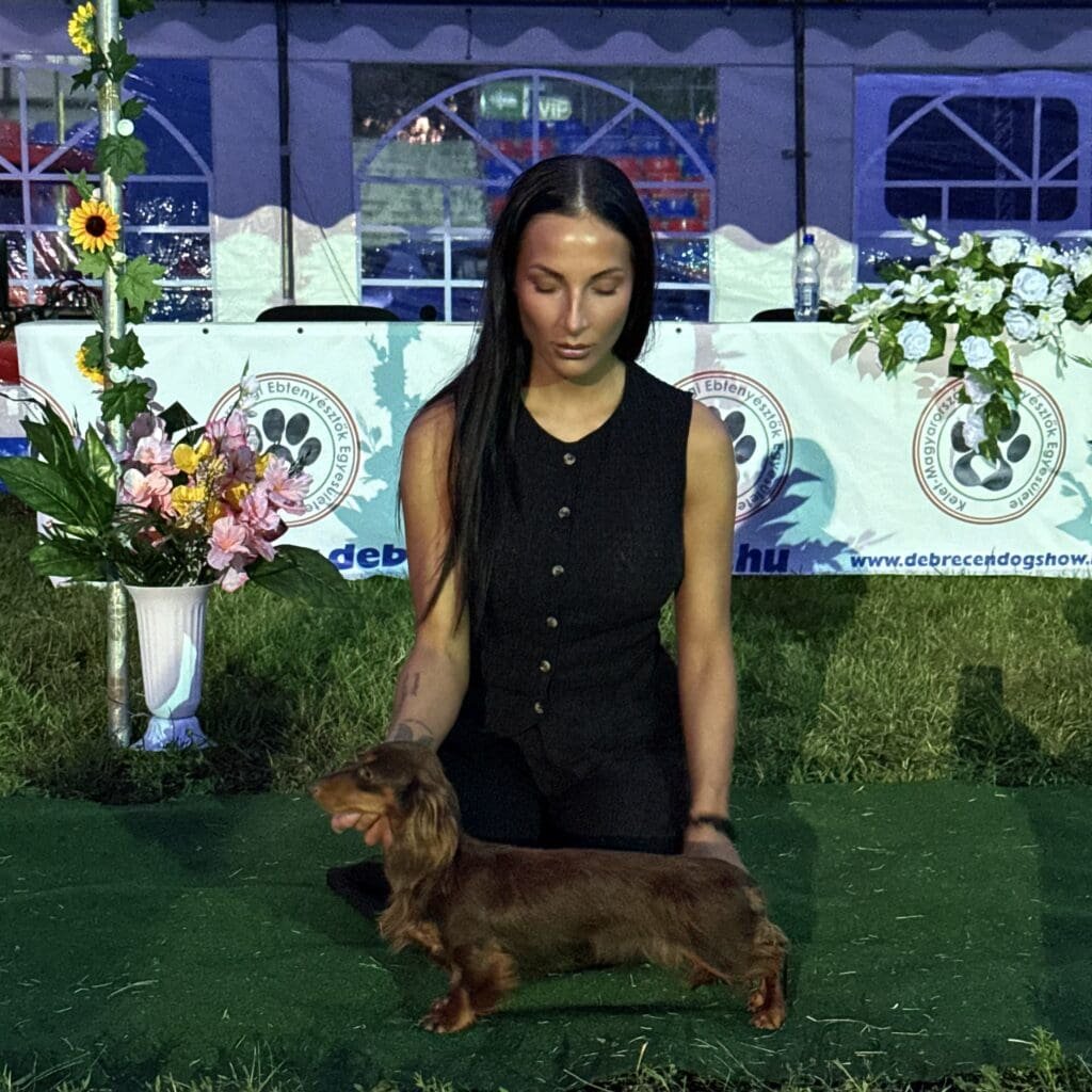 Miskolci Dacos Aszú