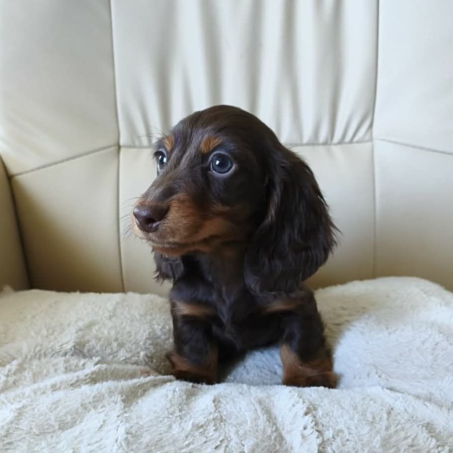 att.HuQOiGPw9j3i3kOr6KZatEWhWlkfutygiw_SJ9eSxdw