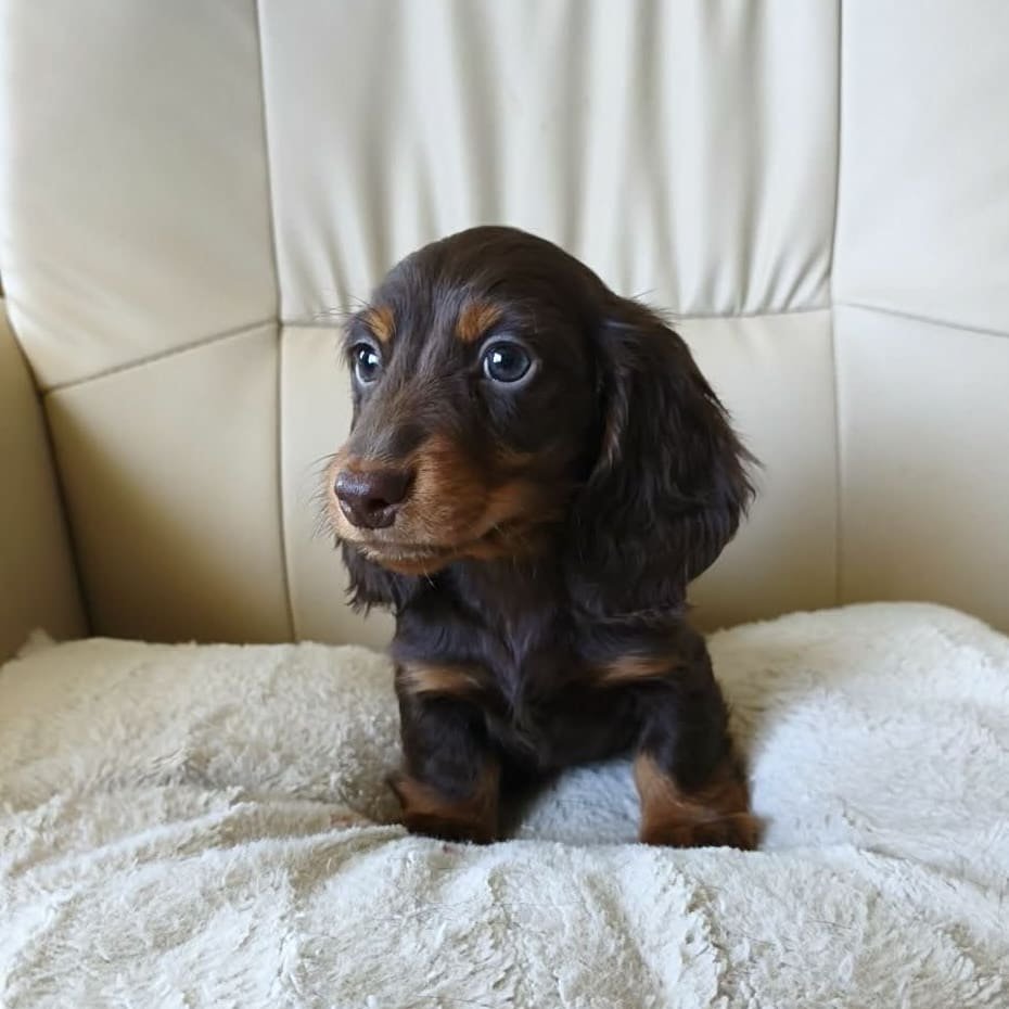 att.Mde6hmqATUCwsLsMux2gOvGylBQw9zZx6UOJ9wREeI0