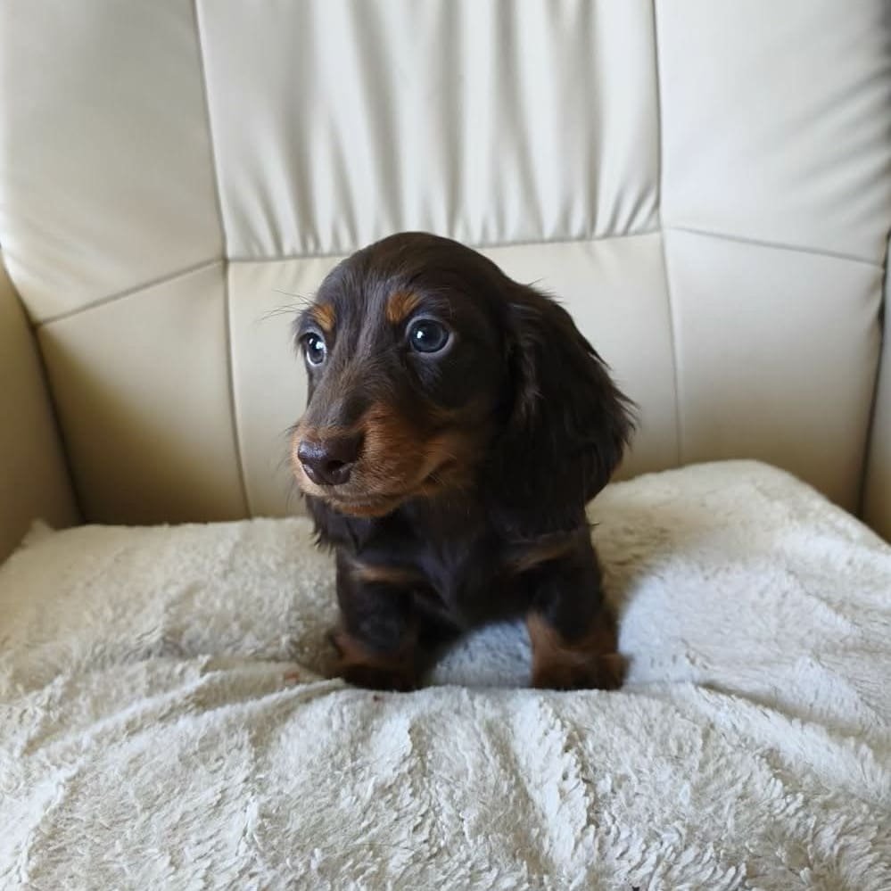 att.jf0gAVVVrmgBjN8ap_RMVqEi0UfH7-AQ_7yjANd8W3g