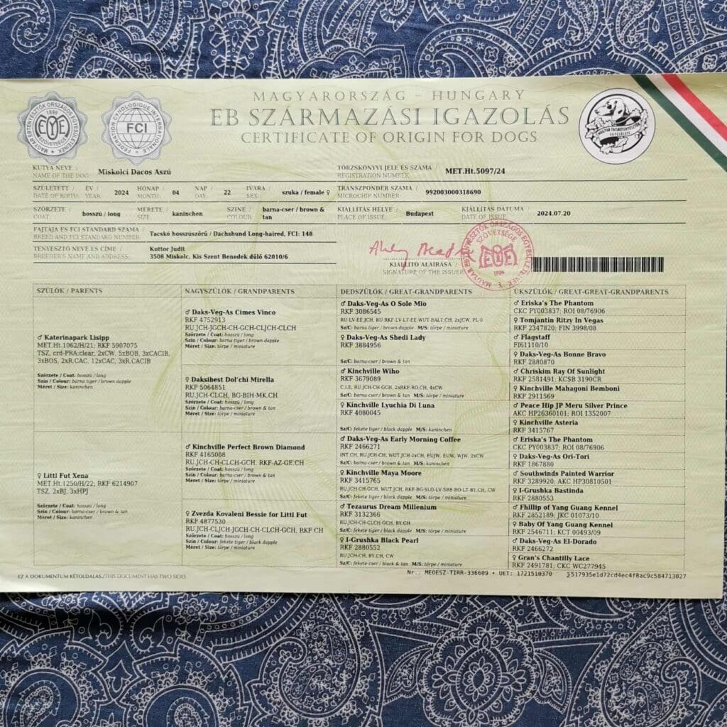 att.q9LbMBYh-EyfBCfTaM2e_YTHNo-Sf1CRJ6AsyaDhutI