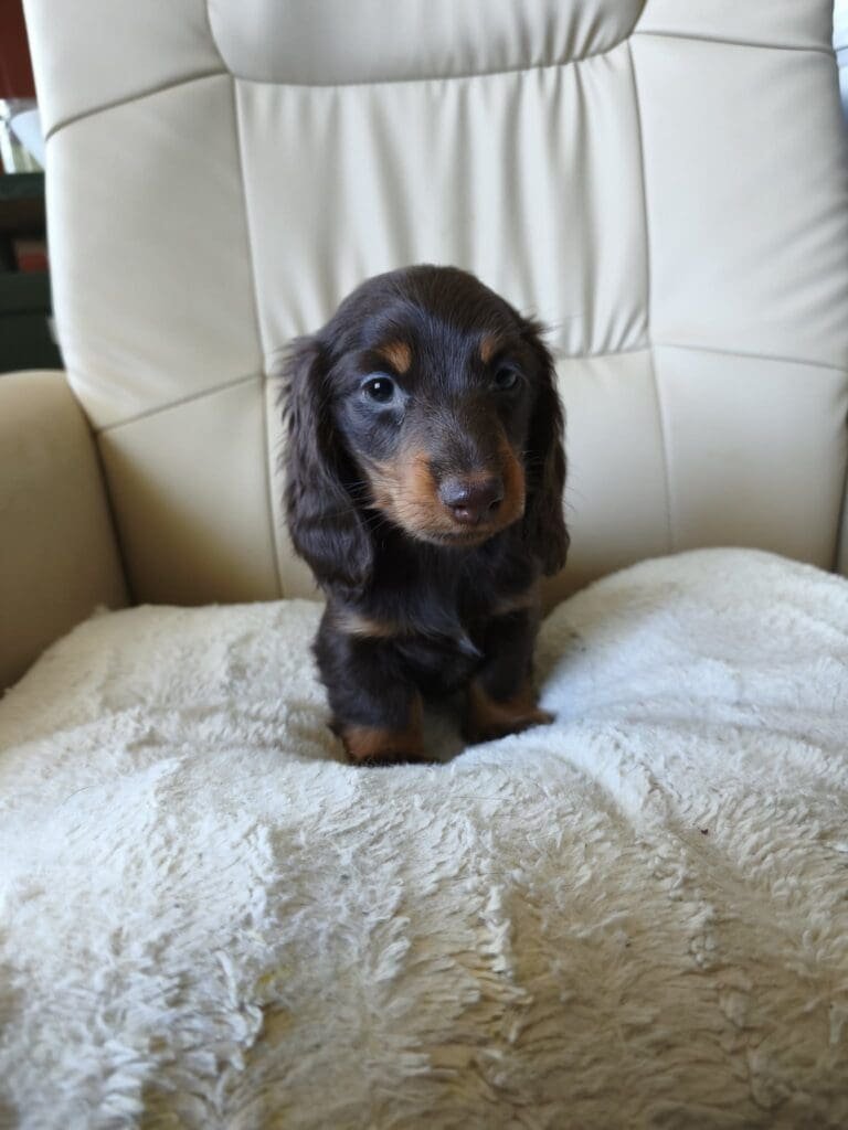 att.zxS3BBMlDyTQrRhdcgBKHyfRmkiznmdzKSYZMA4yj1g