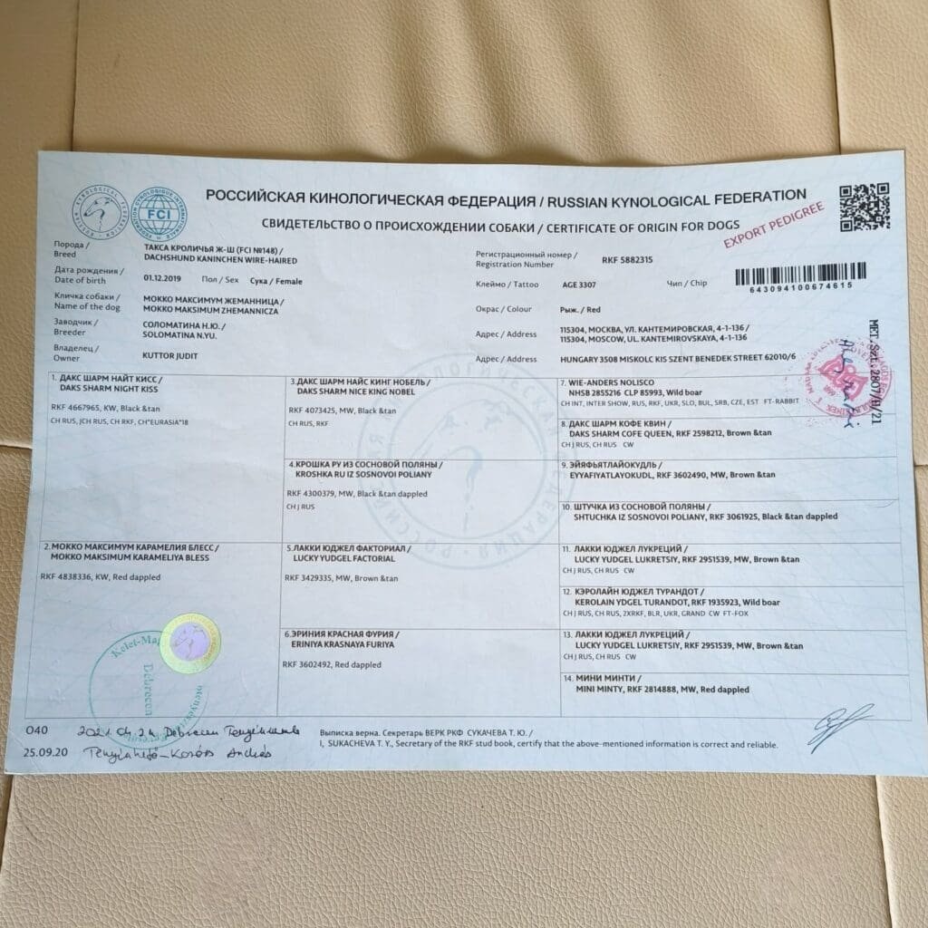 att.eId2XXgnDMjQG0jXsaLBXRY83z671Pa-S6OxaMToKx0