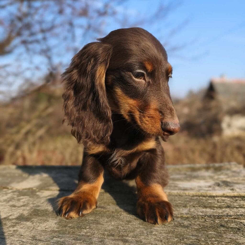 att.DFoBzLzrEsrAIjSWHgvLTHDD0cxYYJYRVnCt__2_iwg