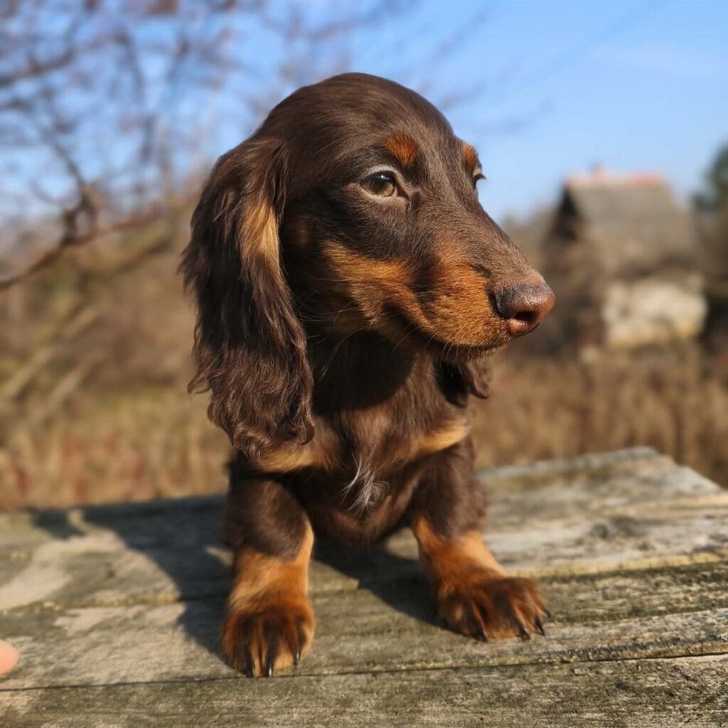 att.Fr6xUenxovOT0TB9rfb0q6iRmaFTLQnd47zXOYlImsU