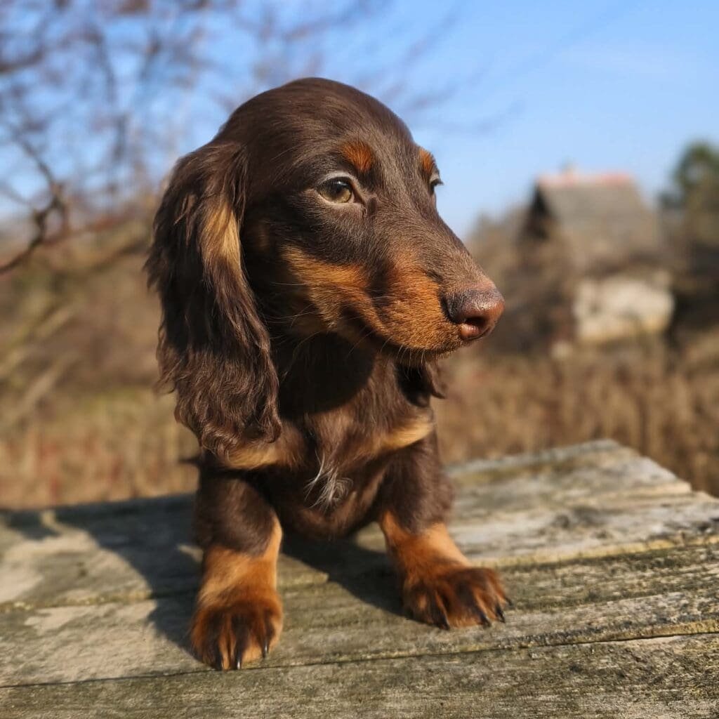 att.vLhsRmhkt-1-GFRfzmX_9c_jxgwBmE9lq0S8UZ9RmEE