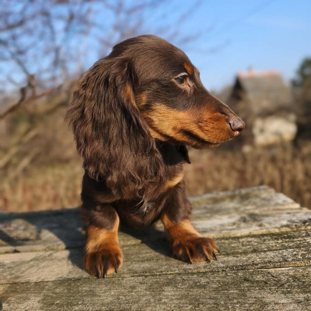 att.yLRvP_R0V7fySIUrB682P-_FtIl3bpLj-b4f8cLDOjw